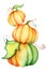 Watercolor pumpkin illustration isolated on the white background