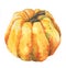 Watercolor pumpkin isolated on white. handmade painting of yellow orange pumpkin