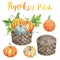 Watercolor pumpkins in a wicker orchard basket, isolated. Autumn harvest clipart, Thanksgiving day decor