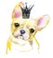 Watercolor puppy dog illustration. French Bulldog breed