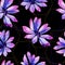 Watercolor purple african daisy. Floral botanical flower. Seamless background pattern.