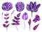 Watercolor purple flowers vector clip art. Lilac floral clipart