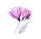 Watercolor purple fresia. Hand painted artwork with transparent violet flowers isolated on white. Botanical illustration