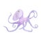 Watercolor purple octopus illustration