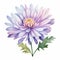 Watercolor Purple And Pink Chrysanthemum Flower: Realistic Art By Li Tiefu