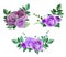 Watercolor purple roses vector