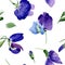 Watercolor purple sweet pea flower. Floral botanical flower. Seamless background pattern.