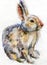 Watercolor rabbit