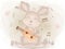 Watercolor Rabbit Plays the Guitar Happily with EPS 10