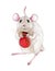 Watercolor rat or mouse illustration with small bag full of christmas, new year gifts. Little mouse a simbol of chinese 2020 year