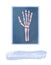 Watercolor x-ray health medical cliparts, healthcare clipart, medical illustration, doctor cliparts, quarantine clipart