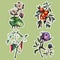 Watercolor realism botanical stickers set