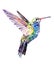 Watercolor realistic hummingbird, colibri tropical bird animal isolated