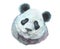 Watercolor realistic panda  animal isolated