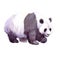 Watercolor realistic panda animal isolated