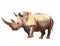 Watercolor realistic rhinoceros animal isolated