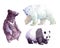 Watercolor realistic rhinoceros, white bear, grizzly bear, animal