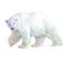 Watercolor realistic white bear animal