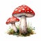 Watercolor red agaric with grass on white