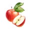 Watercolor red apple. Realistic fruit composition with whole, half and leaves. Botanical artwork with ripe sweet food