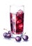 Watercolor red grape juice.