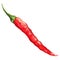 Watercolor red hot chili chilli spicy pepper isolated