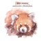 Watercolor red panda. Wild animal hand drawn illustration.