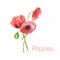 Watercolor red poppies bouquet