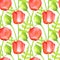 Watercolor red Poppy seamless pattern. Hand drawn botanical Papaver flower, poppy bud and leaf illustration isolated on white