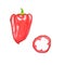 Watercolor red succulent bell pepper. Handmade, on white isolated background.