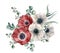 Watercolor red and white anemone bouquet. Hand painted colorul flowers, eucalyptus leaves isolated on white background