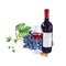 Watercolor red wine gourmet set Illustration