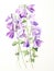 Watercolor Rendering of Jovellana Violacea AI Generated