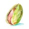 A watercolor representation of pistachios in varying states of shell