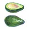 Watercolor ripe and whole avocado