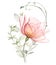 Watercolor Rose with eucalyptus branches. Big transparent peach flower with curved plants. Pastel beige composition in