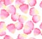 Watercolor rose petal design element.