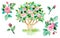 Watercolor rose tree, flowers and buds on white background