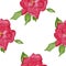 Watercolor rosehip seamless pattern