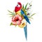 Watercolor rosella bird