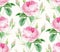 Watercolor Roses seamless pattern. Vintage floral background. Botanical hand drawn illustration. Colourful flowers and