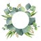 Watercolor round wreath with eucalyptus leaves and branches.