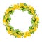 watercolor round wreath with yellow primrose evening flowers, hand drawn botanical illustration with spring flowers