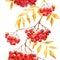 Watercolor rowan pattern