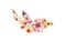 Watercolor rustic floral composition. Pink and golden wild flowers bouquet: rose hip, briar, leaves, feathers, isolated