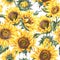 Watercolor rustic seamless pattern, farmhouse sunflower wildflowers