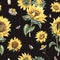 Watercolor rustic seamless pattern, farmhouse sunflower wildflowers, meadow flowers texture