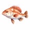 Watercolor Sea Bass Fishing Character Clipart