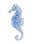 Watercolor seahorse, aquarelle illustration. Watecolor.