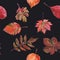 Watercolor seamless background leafs. Autumn. Red and Black